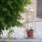 Aristotelis Apartments
