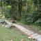 Rest Pause Rainforest Retreat