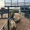Willow Court Farm Studio East & Petting Farm, 8 mins to Legoland & Windsor, 15 mins to Lapland UK