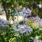 Holiday Home Smokvica