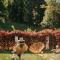 Villa Maier B&B & Apartments