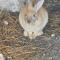 Tamboti Farm Self-Catering Accommodation