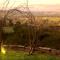 Pear Tree Hollow