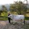 Tourist Farm Robivera