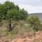 Stoep At Steenbok Self Catering