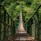 天成逸旅-蝴蝶谷 Butterfly Valley Resort by Cosmos Otium