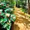 Sigiri Rainbow Lodge