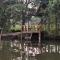 Wilpattu Green Cabin