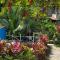 FLOR DE PARAISO BUNGALOWS