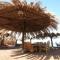 Dive Urge - Dahab