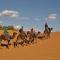 Riad Aicha & Camel Trekking