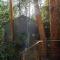 Amore On Buderim Rainforest Cabins