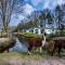 Residence de Eese