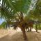 Mangrove Beach Cabana