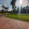 Apto en Flandes Palma real
