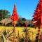 African Flair Country Lodge - Piet Retief