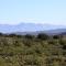 Wolverfontein Karoo Cottages - 莱迪史密斯 Wolverfontein Karoo Cottages - 莱迪史密斯