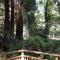 Emerald Forest Cabins - ترينيداد