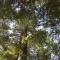 Emerald Forest Cabins - ترينيداد