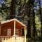 Emerald Forest Cabins - ترينيداد