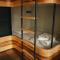 King Kong Hostel
