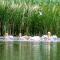 La Tavi casute tip camping