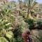 Chez Ali Zagora Authentic Hotel Restaurant and Desert Excursions