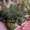 Chez Ali Zagora Authentic Hotel Restaurant and Desert Excursions