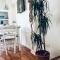 Stella di mare Apartment