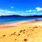 Seascape Peninsula Bach