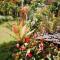 Swindo Homestay 77, Small House