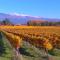 Domaine Lafayette