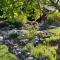 beards creek bed and breakfast