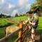 Kohala Lodge- Vacation Rental House - Hawi