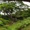 Taveuni Dive Resort