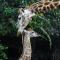 Hopewell Private Game Reserve