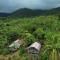 Tanna Lava View Bungalows