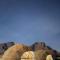 Wadi Rum Magic Stars