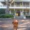 Ibis House