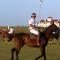 Estancia VIK José Ignacio