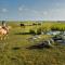 Estancia VIK José Ignacio
