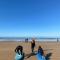 Abrid Surf