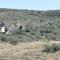Outeniqua Guest & Hunting Farm