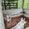 Gambas Lodge