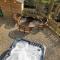 4 Bed in Tresaith oc-bow158