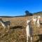 Mark Close Milking Parlour