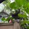 Kanda Homestay