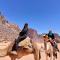 Wadi rum Silk Road camp Wadi rum Silk Road camp