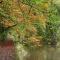 Carps Rise Cottage