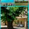 Gîte 2 "Le Tilia " aux magnolias 3 étoiles